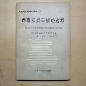 西南发展与战略选择