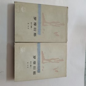 罗摩衍那／战斗篇上.下