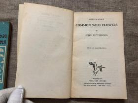 Common Wild Flowers & More Common Wild Flowers (Pelican Books) 常见野花手册 2册合售 老版鹈鹕丛书【合计有四百多幅手绘插图。英文版】留意品相描述
