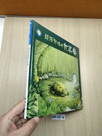 经历危险的大头龟
