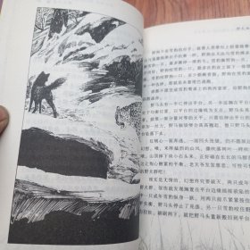 野犬女皇：动物小说大王沈石溪.品藏书系