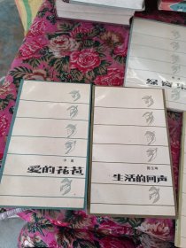 黎明散文诗丛 第四辑10本全 有盒子