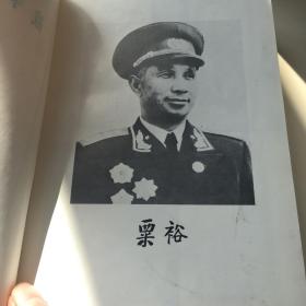 粟裕战争回忆录