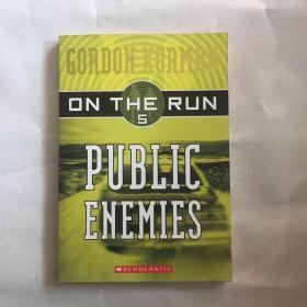 PublicEnemies(OntheRun,Book5)《奔逃》系列第五本：大众公敌