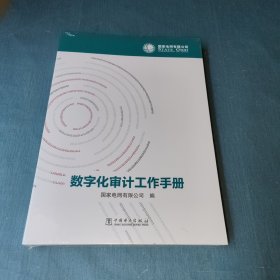 数字化审计工作手册