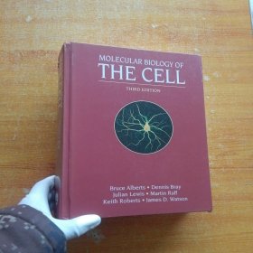 MOLECULAR BIOLOGY OF THE CELL 大16开 精装【内页干净】