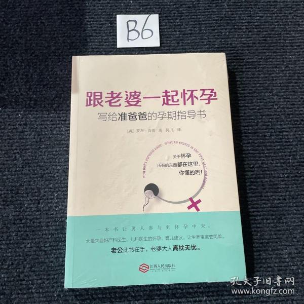 跟老婆一起怀孕：写给准爸爸的孕期指导书