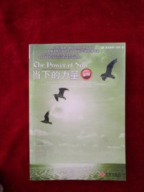 （5架5排）       当下的力量 看好图片下单 书品如图