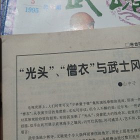 武魂杂志 1995 5品差钉绣 霉渍宋氏三皇炮锤 三趟 心会掌之六十四式 一 道教邋遢派功法绝门兵器 太阳针 八极拳实用肘法