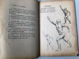 浙江美术学院编撰教材 人体结构书籍