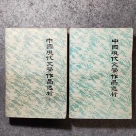 中国现代文学作品选析 上下（2册合售）