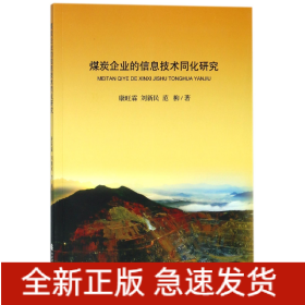 煤炭企业的信息技术同化研究