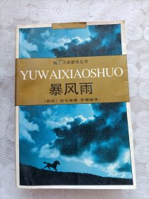 暴风雨