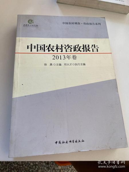 中国农村调查·咨政报告系列：中国农村咨政报告（2013年卷）