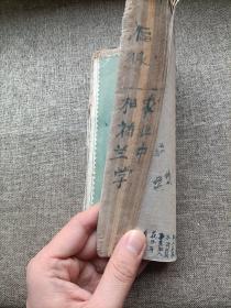 农业基础知识 第一分册 植物 1961年