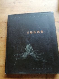 王炜钰选集（精装）——清华学人建筑作品书系