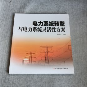 电力系统转型与电力系统灵活性方案