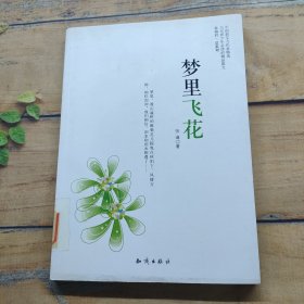 中国新实力作家精选——梦里飞花