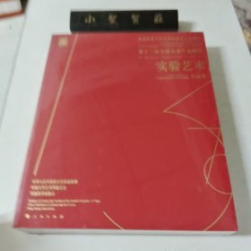 庆祝中华人民共和国成立七十周年——第十三届全国美术作品展览——实验艺术作品集（未拆封）