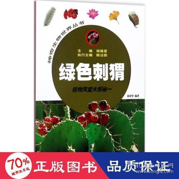 绿色刺猬——植物天堂大揭秘一