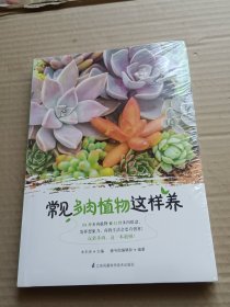 常见多肉植物这样养