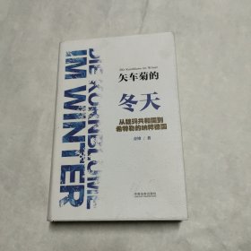 矢车菊的冬天：从魏玛共和国到希特勒的纳粹德国