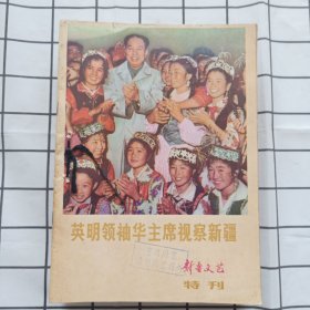 新疆文艺1978年1-12期 包括特刊