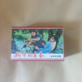 战斗的青春（5册全）