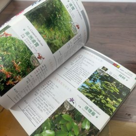 观花植物1000种经典图鉴