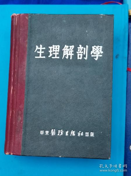 生理解剖学