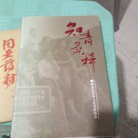 知青桑梓