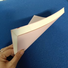冰心奖获奖作家精品书系.让你猜猜我是谁