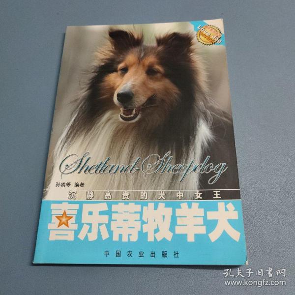 喜乐蒂牧羊犬