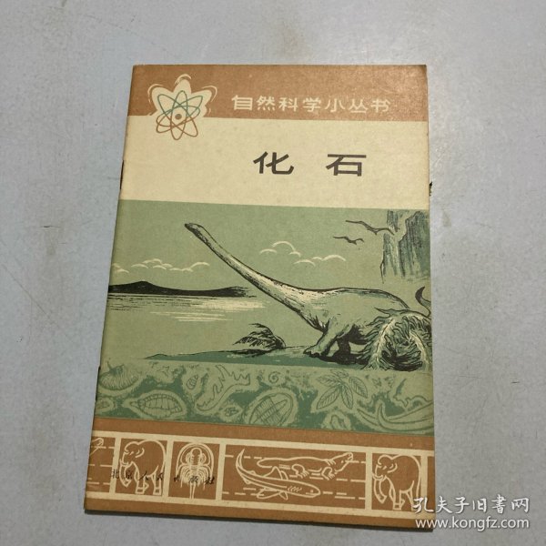 自然科学小丛书：化石