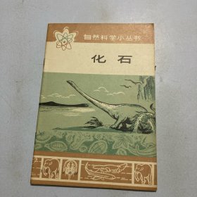 自然科学小丛书：化石