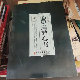 图解扁鹊心书