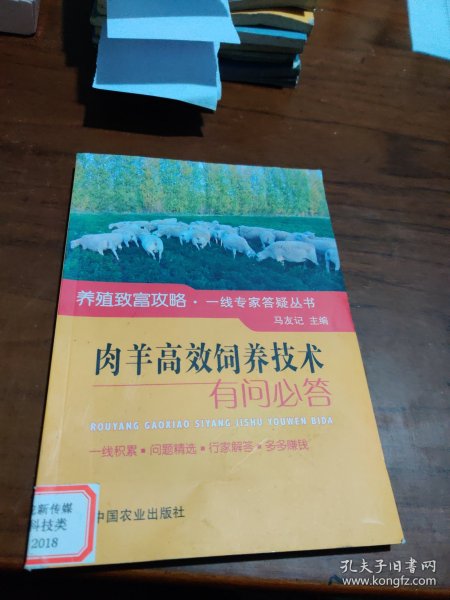 肉羊高效饲养技术有问必答/养殖致富攻略·一线专家答疑丛书