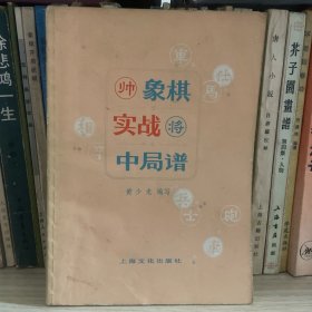 象棋实战中局谱