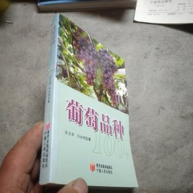 葡萄品种