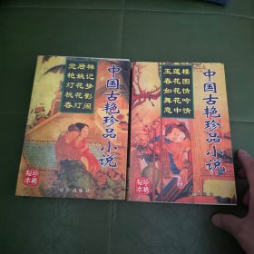 中国古珍品小说