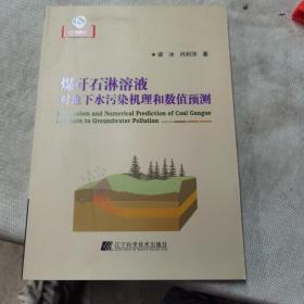 煤矸石淋溶液对地下水污染机理和数值预测