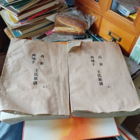 高密 西城子 王氏族谱 卷一 卷二 卷一是中华民国22年修谱的内容 卷二是1999年五修族谱内容 两卷都是1999年印