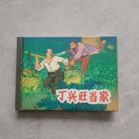 丁兴旺当家