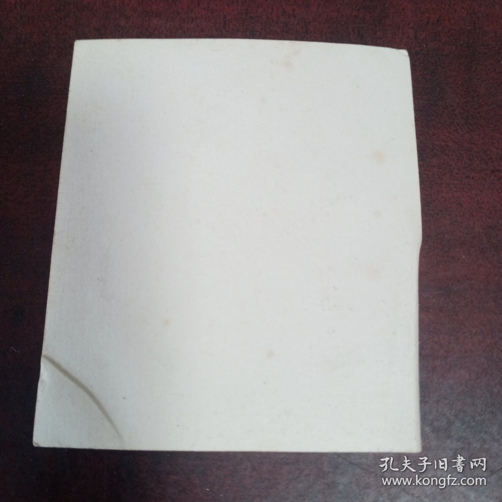 合影照