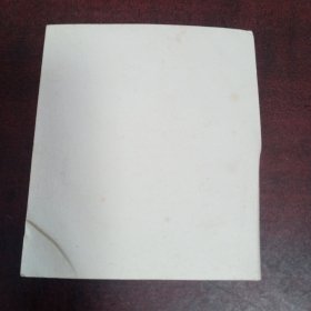 合影照