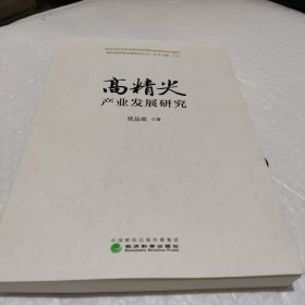 高精尖产业发展研究