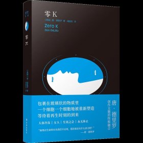 零K（如果生命的尽头我们不会死，那活着还有什么意义？美国文坛巨擘唐·德里罗创作主题的终极融合！借人体冷冻技术直面死亡与永生）