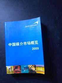 中国媒介市场概览 2006/2007版，64开