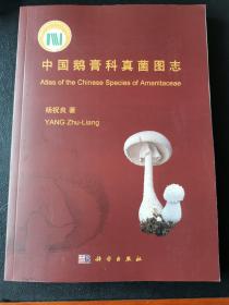 中国鹅膏科真菌图志（原版）