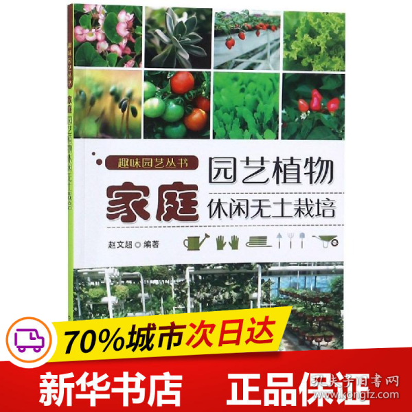 家庭园艺植物休闲无土栽培 